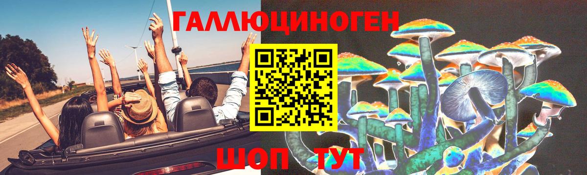 Галлюциногенные грибы MAGIC MUSHROOMS  Вход с VPN  Кизилюрт  наркошоп  Псилоцибиновые грибы Psilocybine cubensis 